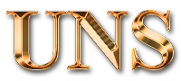 Бухгалтерская компания «UNS»